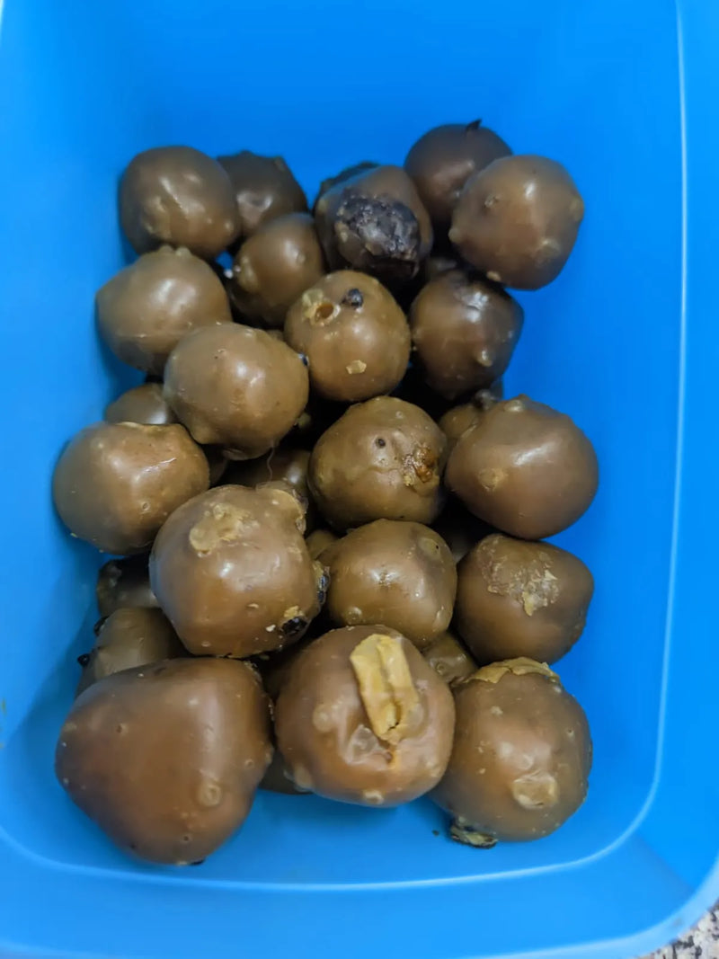 Bombons de pólen para abelha