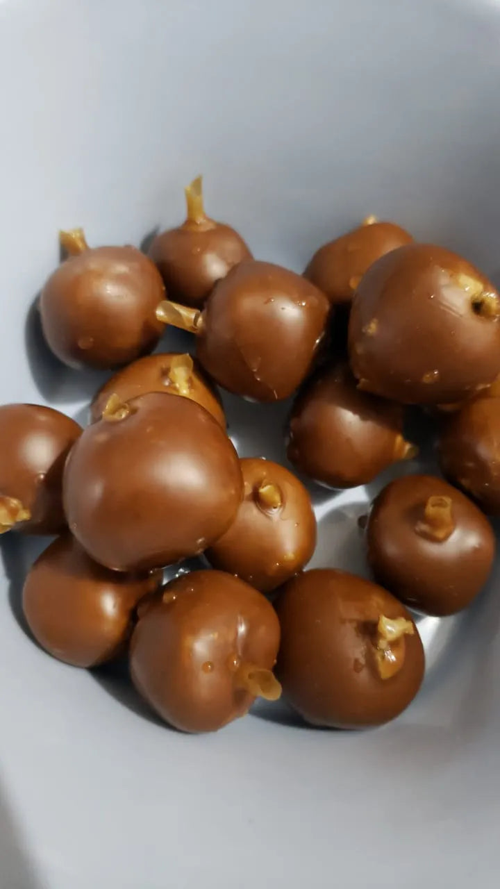 Bombons de pólen para abelha